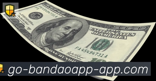 App 展示图